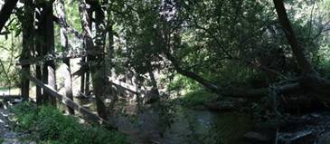 trestle&habitat-tn