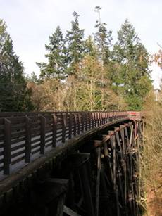 johnson_creek-tn